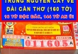 Sáng 30/4, xuất hiện nguyên cây 160 vé trúng xổ số miền Nam